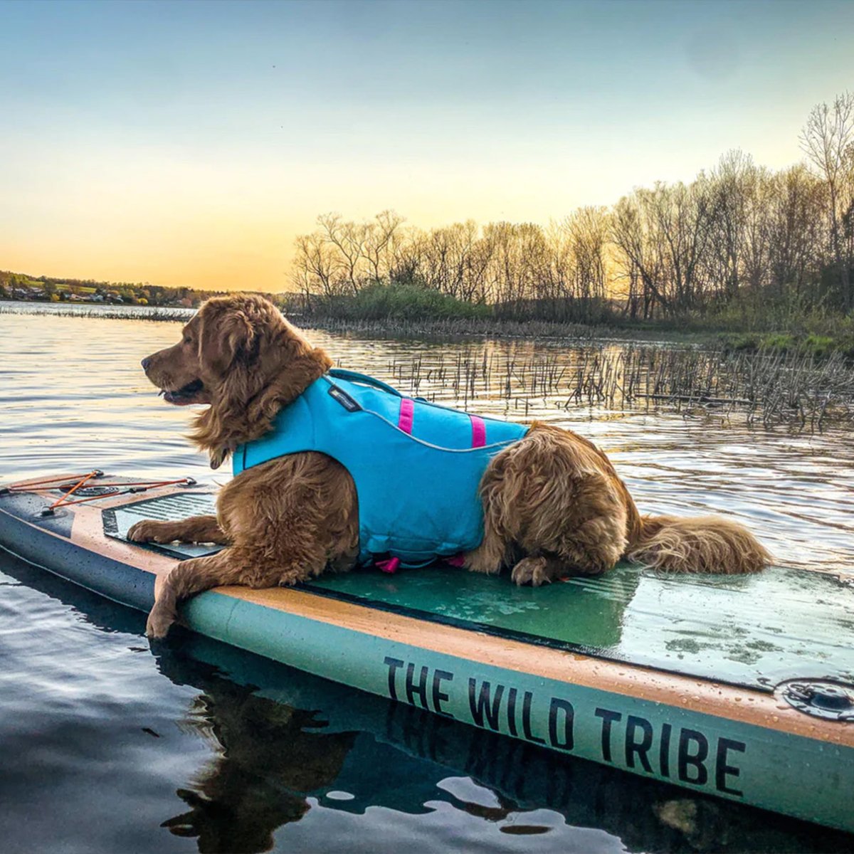Sequoia 11' Inflatable Paddleboard — The Wild Tribe
